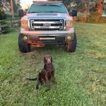 Aaron Walls - @awalls_54 - Instagram