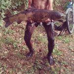 Aaron Walter - @aaronwalter83 - Instagram