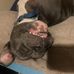Aaron L Wolford - Facebook