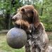 Aaron Workowski - Facebook