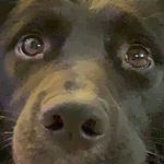 Aaron Warman - @un_human_14 - Instagram