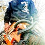 Aaron Warmoth - @aaron_the_tree_doctor - Instagram