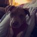 Aaron Warner - Facebook