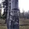 Aaronw.Warnock - @aaronw.warnock - TikTok