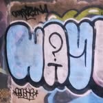 Aaron Wayno - @aaron_wayno - Instagram