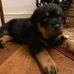 Aaron Weir - Facebook