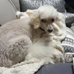 David Aaron Weller - @davidaweller001 - Instagram