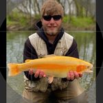 Aaron Wenger - @adrenaline_junkie7 - Instagram