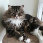 Aaron Wheatley - @wheatleyaaron - Instagram