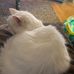 Aaron Whiteley - Facebook
