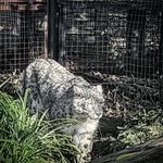 AaronWhiteley - @aaronwhiteley180809 - Instagram