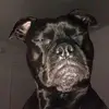 aaron whitney740 - @aaronwhitney740 - TikTok
