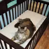 Aaron Wininger - @aaron.wininger - TikTok