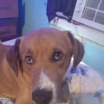 Aaron Woodruff - @aaronwoodruff21 - Instagram