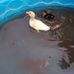 Aaron Woodruff - Facebook