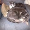 Aaron Woolard - @aaron.woolard - TikTok