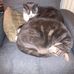 Aaron Woolard - Facebook