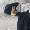 Aaron Wouters - @aaron.wouters - TikTok
