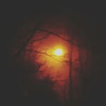 AaronWorden - @aaronworden95 - Instagram