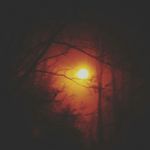 AaronWorden - @aaronworden95 - Instagram