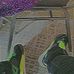Aaron Worth - Facebook