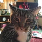 Aaron Wrobel - Facebook