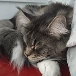 Aaron Wrobel - @aaron.wrobel_ - Instagram