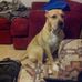 Aaron Wunderlich - Facebook