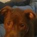 Aaron Wurzler - Facebook