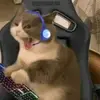 AaronXavier - @aaronxavier06 - TikTok