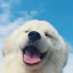 Aaron Zhong - @473_zzh - Instagram