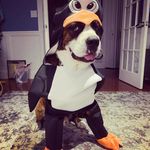 Aaron Zimmer - @azimmer133 - Instagram