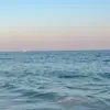 aurora.randall - @aurora.randall - TikTok