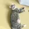 Артём - @ar.melnikoff2018 - TikTok