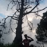 Aashish Subedi - @subedi4551 - Instagram