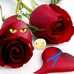 abbas jaffar - @jaffar9737 - Instagram