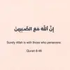 Jaffar Abbas - @jaffarabbassubhani - TikTok
