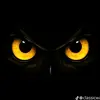 Abbas Mubarak - @.5669499 - TikTok