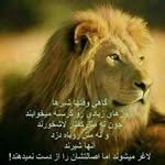 عباس رستمی - @abbas_rostami_official1400 - Instagram