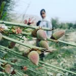 abbas rostami - @rostami9292 - Instagram