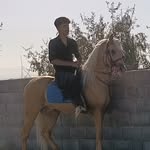 abbas rostami - @abbasrostami758 - Instagram