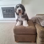 Abby.Bates - @abby.bates - Instagram