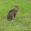 Abbey Burke - @abbey_and_her_besties - TikTok