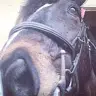 Abbey Burns - @abbeyburns16 - TikTok