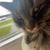 Abby Burns - Facebook