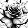 Cameron Abbey - @cameron.abbey21 - TikTok