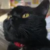 user9200051585133 - @abbeycook123 - TikTok