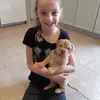 Follow 4 follow - @abbeydennis52 - TikTok