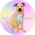 abby doyle - @balanced.behavior - Instagram