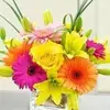 Abbey Haile Weldemichael - @abbey.haile.welde - TikTok